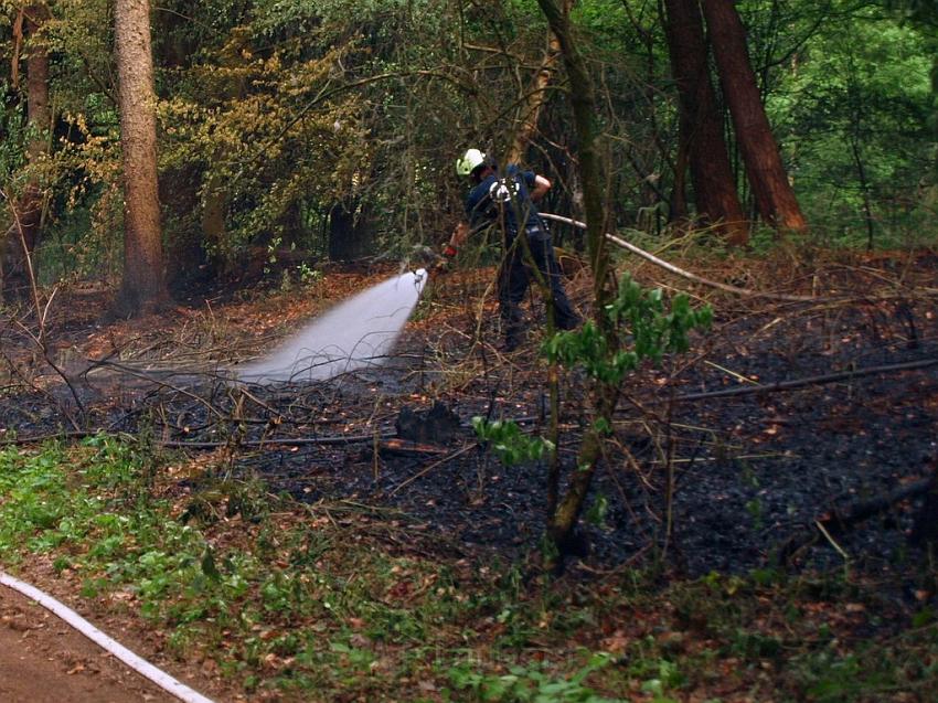 Waldbrand Bergisch Gladbach Bensberg P056.JPG